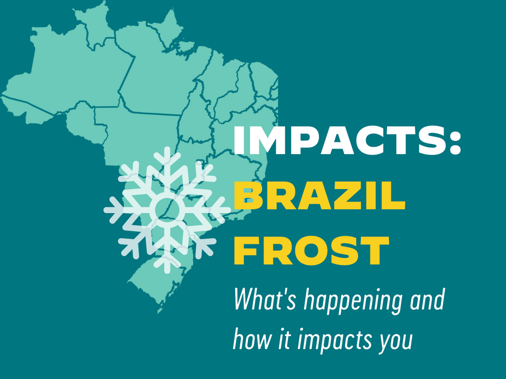 Sucafina How The Brazil Frost Impacts You sucafina-how-the-brazil-frost-impacts-you